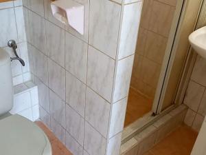Pronájem bytu 1+kk, Brno, Volejníkova, 23 m2