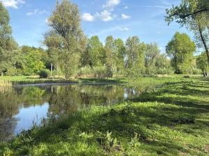 Pronájem bytu 2+kk, Milovice, Slepá, 55 m2