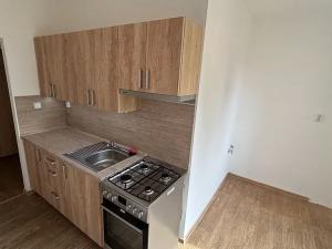 Prodej bytu 1+1, Ostrava, U Haldy, 40 m2