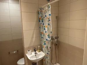 Prodej bytu 1+1, Ostrava, U Haldy, 40 m2