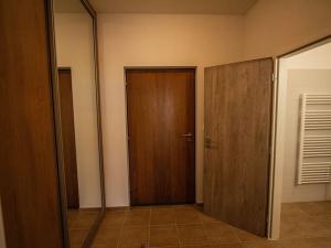 Pronájem bytu 1+kk, Olšany, 45 m2