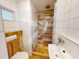 Pronájem bytu 1+1, Dýšina, K Chlumu, 35 m2