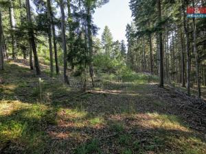 Prodej lesa, Petrovice u Sušice - Maršovice, 15707 m2