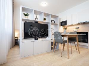 Pronájem bytu 1+kk, Praha - Karlín, Pobřežní, 28 m2