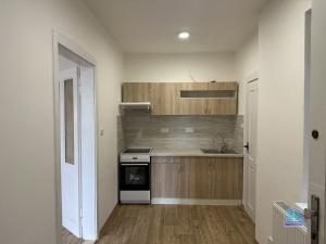 Prodej bytu 1+kk, Plzeň - Jižní Předměstí, Purkyňova, 37 m2