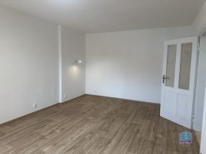 Prodej bytu 1+kk, Plzeň - Jižní Předměstí, Purkyňova, 37 m2
