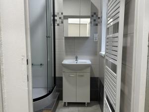 Prodej bytu 1+kk, Plzeň - Jižní Předměstí, Purkyňova, 37 m2