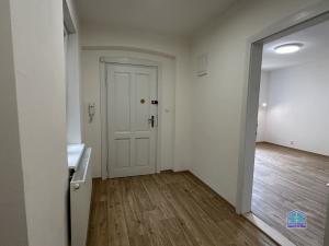 Prodej bytu 1+kk, Plzeň - Jižní Předměstí, Purkyňova, 37 m2