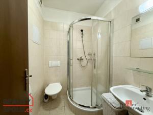 Pronájem bytu 1+kk, Kvasiny, 39 m2