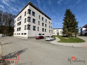 Pronájem bytu 1+kk, Kvasiny, 39 m2