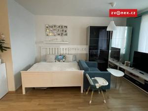 Pronájem bytu 1+kk, Zlín, Voženílkova, 46 m2