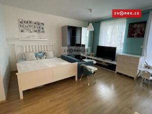 Pronájem bytu 1+kk, Zlín, Voženílkova, 46 m2