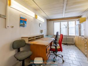 Pronájem výrobních prostor, Hrušovany nad Jevišovkou, Rudé armády, 12000 m2