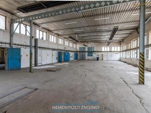 Pronájem výrobních prostor, Hrušovany nad Jevišovkou, Rudé armády, 12000 m2