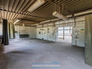 Pronájem výrobních prostor, Hrušovany nad Jevišovkou, Rudé armády, 12000 m2