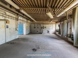 Pronájem výrobních prostor, Hrušovany nad Jevišovkou, Rudé armády, 12000 m2