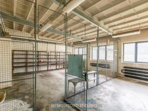 Pronájem výrobních prostor, Hrušovany nad Jevišovkou, Rudé armády, 12000 m2