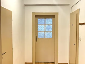 Pronájem bytu 1+1, Plzeň, Tělocvičná, 51 m2