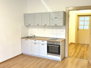 Pronájem bytu 1+1, Plzeň, Tělocvičná, 51 m2
