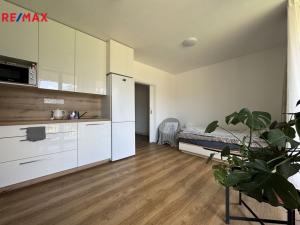 Pronájem bytu 1+kk, Olomouc, Camilla Sitteho, 27 m2