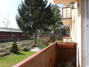 Pronájem bytu 2+1, Slavkov u Brna, sídliště Nádražní, 60 m2