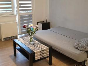 Pronájem bytu 1+kk, Teplice, Petra Jilemnického, 30 m2