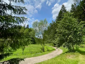 Prodej chalupy, Všelibice, 190 m2
