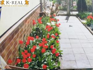 Prodej rodinného domu, Dolní Loučky, 381 m2