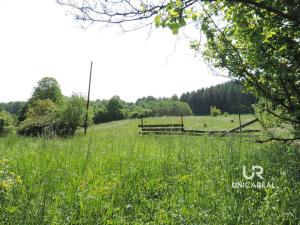 Prodej chaty, Pohledy - Horní Hynčina, 90 m2