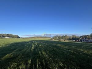Prodej pozemku, Soběnov, 1494 m2