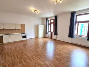 Pronájem bytu 1+kk, Plzeň, Křížkova, 45 m2