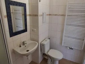 Pronájem bytu 1+kk, Plzeň, Křížkova, 45 m2
