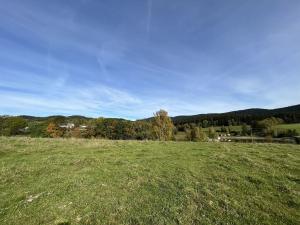 Prodej louky, Horní Planá - Pernek, 8530 m2