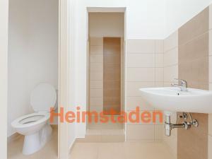 Pronájem bytu 1+kk, Stonava, Bažantnice, 21 m2
