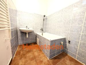 Pronájem bytu 1+kk, Havířov - Město, V Parku, 29 m2