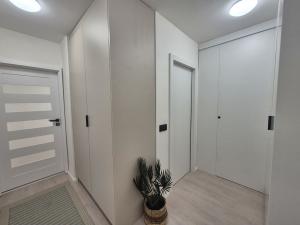 Prodej bytu 3+kk, Pardubice - Zelené Předměstí, Jiránkova, 82 m2