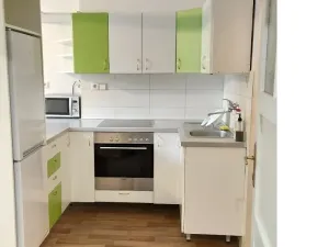 Prodej bytu 2+kk, Praha - Žižkov, Rečkova, 41 m2