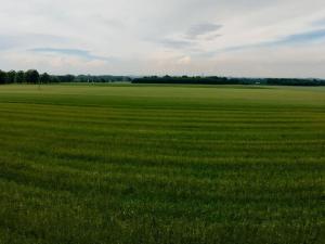 Prodej pozemku, Komorní Lhotka, 2100 m2
