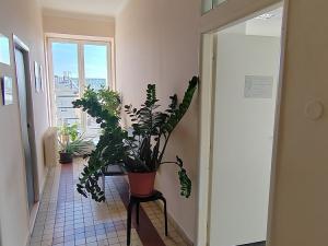 Pronájem kanceláře, Ostrava - Moravská Ostrava, Na Hradbách, 38 m2