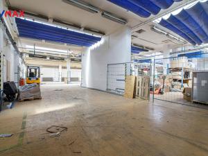 Pronájem skladu, Ostrava - Zábřeh, Výškovická, 680 m2