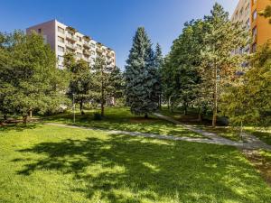 Pronájem bytu 2+kk, České Budějovice - České Budějovice 3, Puklicova, 36 m2