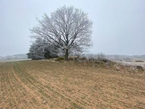 Prodej pole, Slatina, 10514 m2