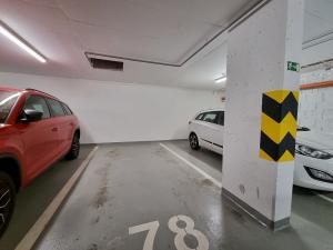 Pronájem bytu 2+kk, Praha - Žižkov, Pitterova, 76 m2