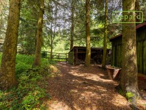 Prodej chalupy, Abertamy, Rooseweltova, 163 m2