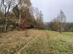 Prodej pole, Chvalšiny, 1158 m2