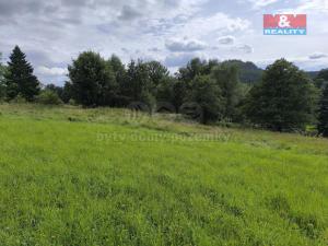 Prodej pozemku pro bydlení, Teplice nad Metují - Zdoňov, 3213 m2