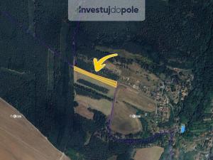 Prodej pole, Liběchov, 7021 m2