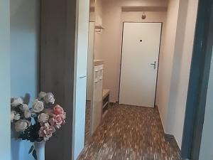 Pronájem bytu 2+1, Hořice, 50 m2