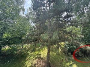 Pronájem bytu 2+kk, Praha, Sáňkařská, 42 m2