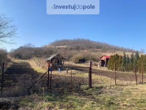 Prodej zahrady, Chožov - Třtěno, 2311 m2